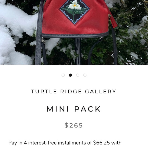 TURTLE RIDGE MINI BACKPACK - Picture 15 of 16